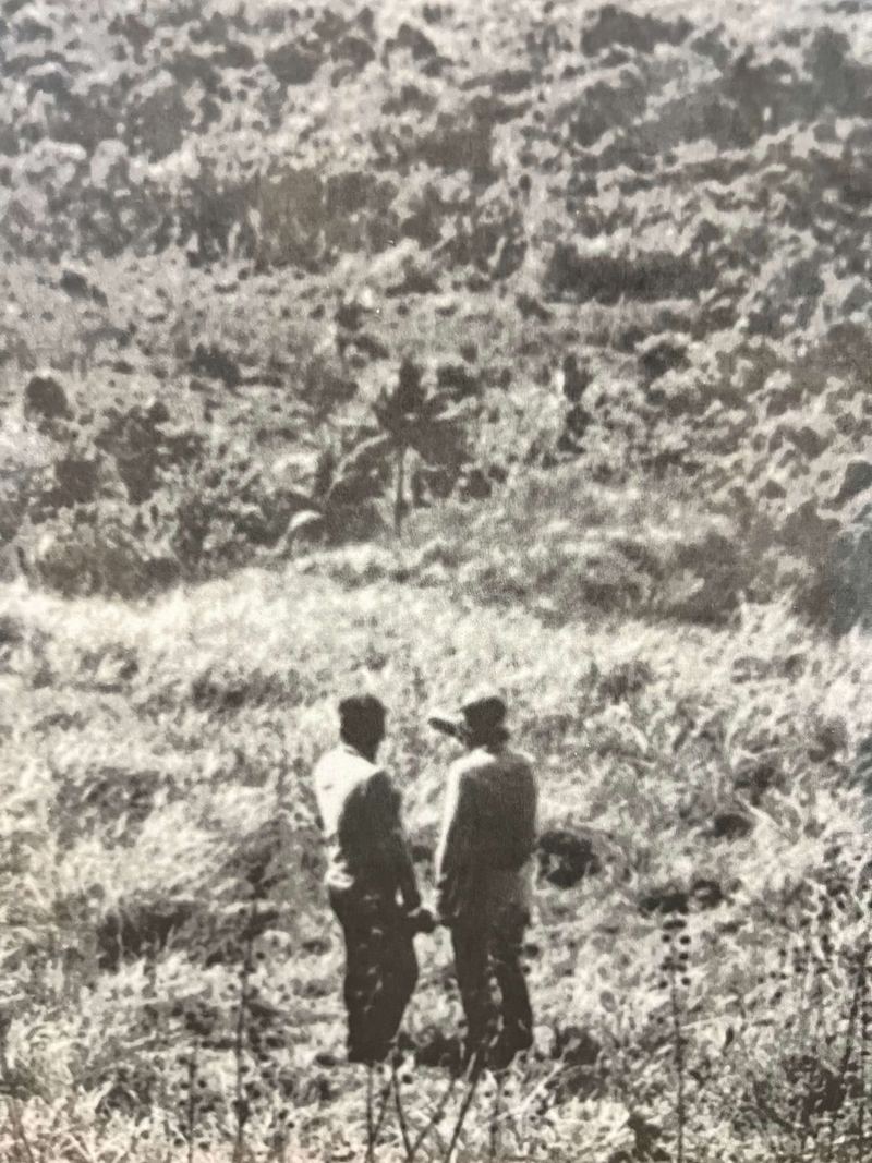 Two men standing in tall grass at the edge of the jungle